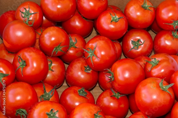 Fototapeta Red ripe tomatoes on display