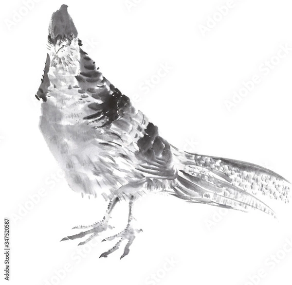 Fototapeta 鶏　黄金金鶏　水墨画