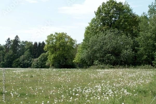 Obraz Natur, Landschaft