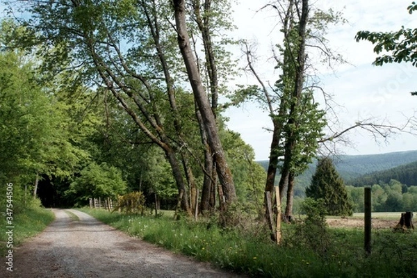 Obraz Natur, Landschaft