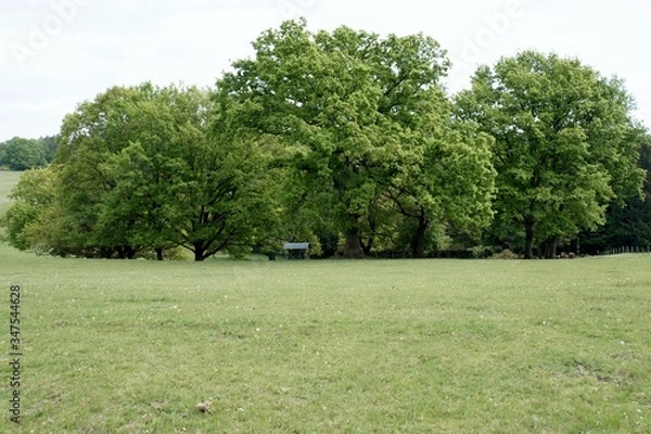 Obraz Natur, Landschaft