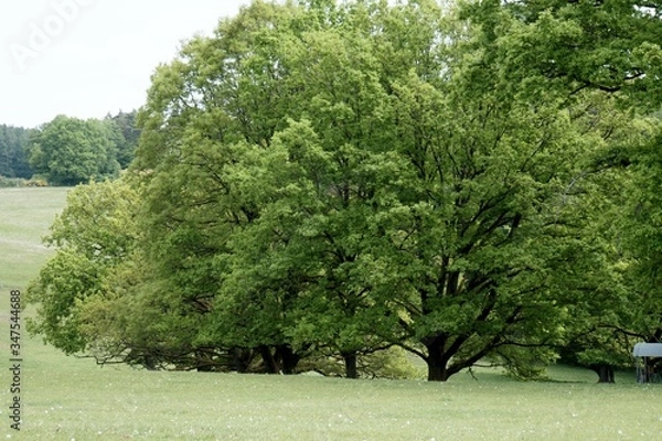 Obraz Natur, Landschaft