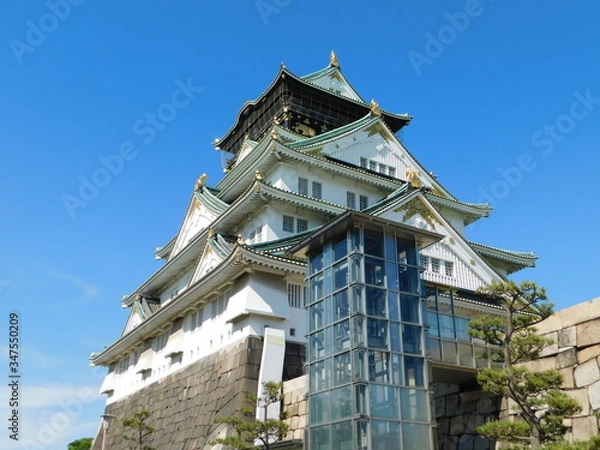 Fototapeta 大阪城本丸から見た天守閣