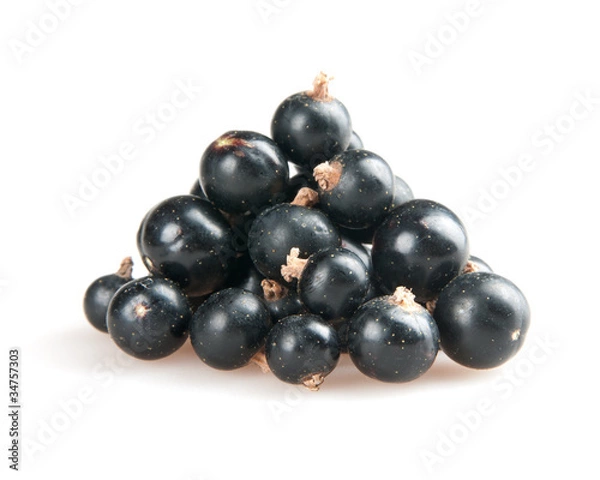 Fototapeta blackcurrant