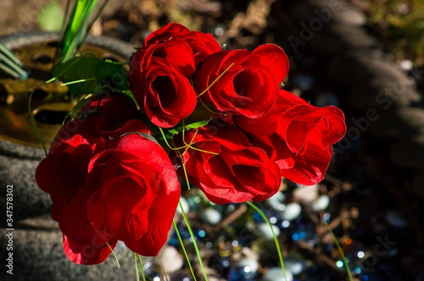 Fototapeta roses graveyard 3