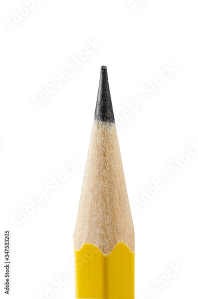 Obraz sharpened pencil isolated on white background