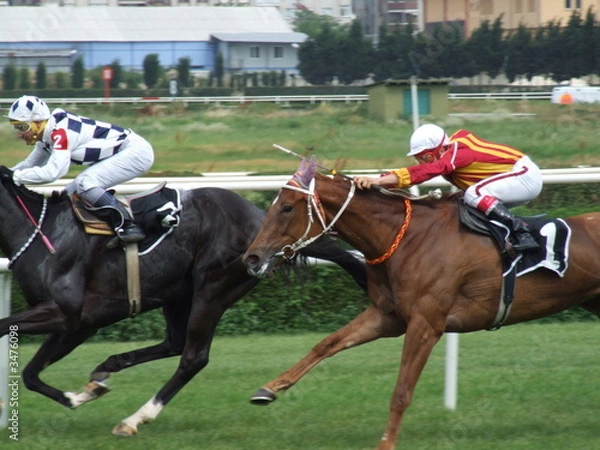 Obraz races in hippodrome
