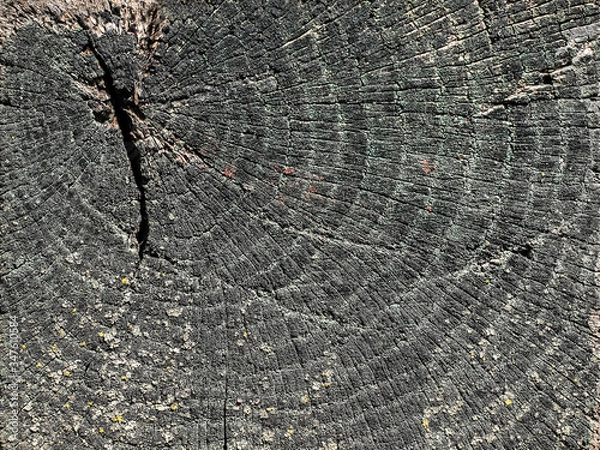 Obraz old wooden texture wall background