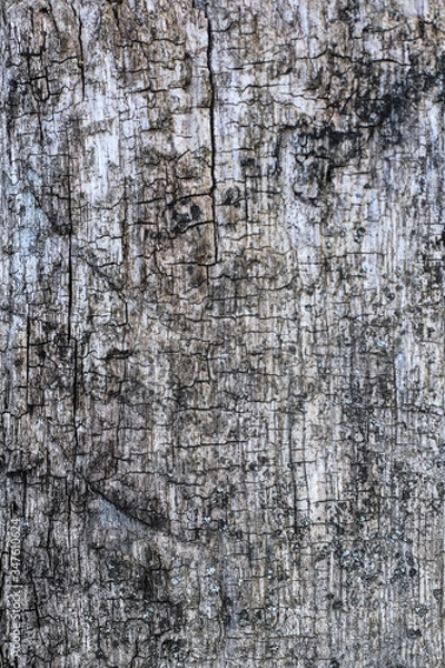 Obraz old wooden texture wall background