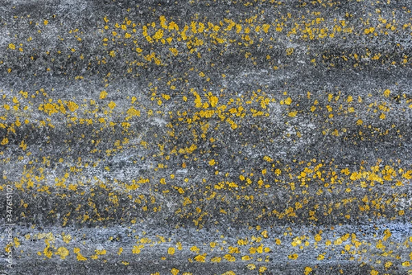 Obraz old vintage wall texture