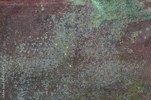 Obraz old vintage wall texture