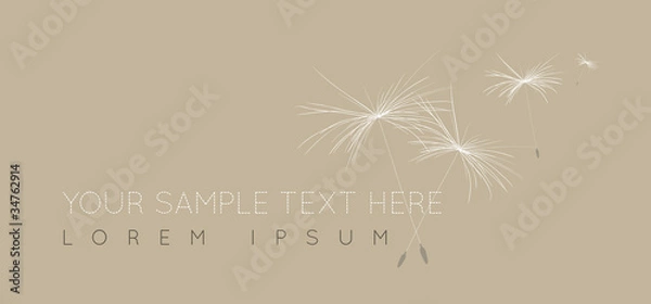 Obraz Dandelion logo