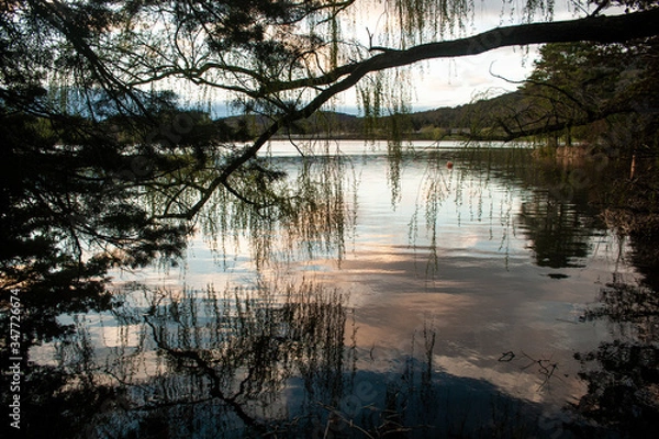 Obraz Reflections on the lake