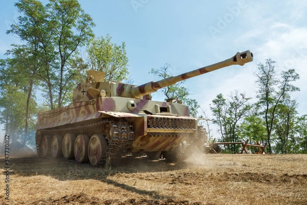 Fototapeta German world war II heavy tank the Tiger goes on a field with trees on the background. Nedvigovka, Rostov-on-Don region / Russia - 30 august 2013
