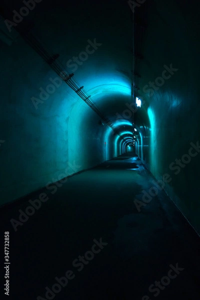 Obraz 薄暗いトンネル