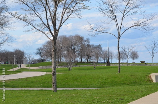 Obraz park in spring