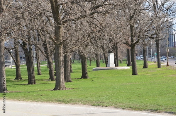 Obraz spring in the park