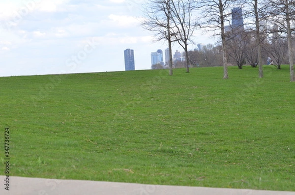 Obraz path in the park