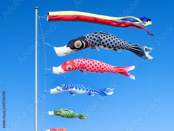 Fototapeta 鯉のぼり