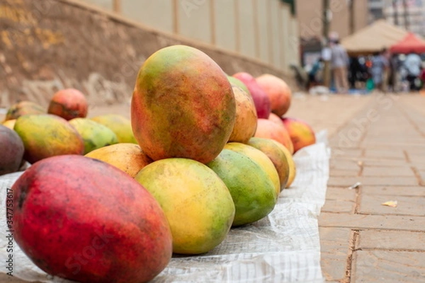 Fototapeta Mango for selling on a pavement in Kampala, Uganda.