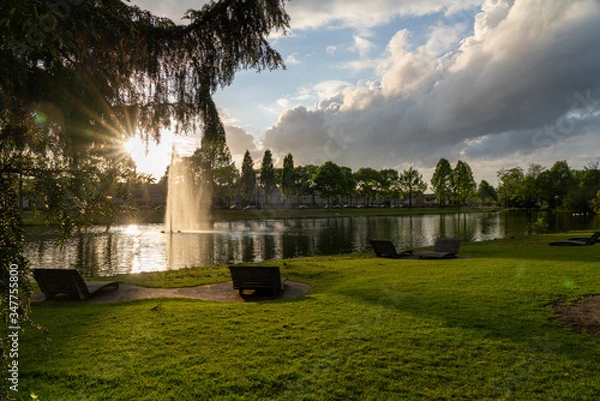 Fototapeta view of the park