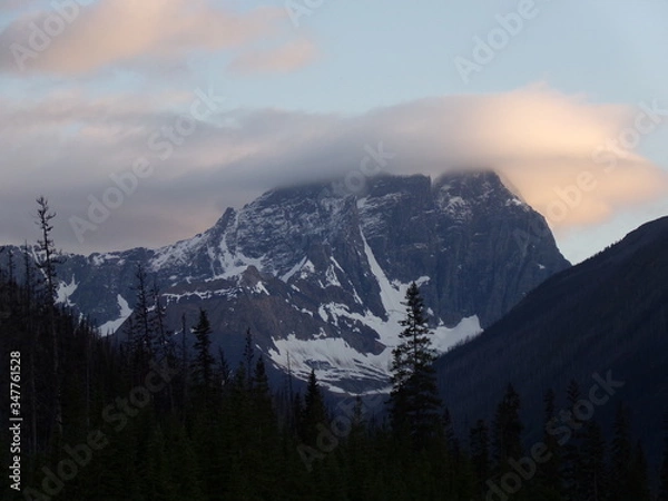 Obraz KODAK Digital Still Camera