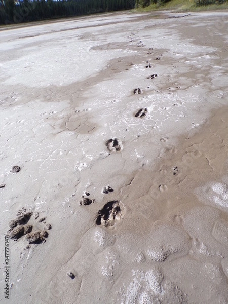 Obraz KODAK Digital Still Camera