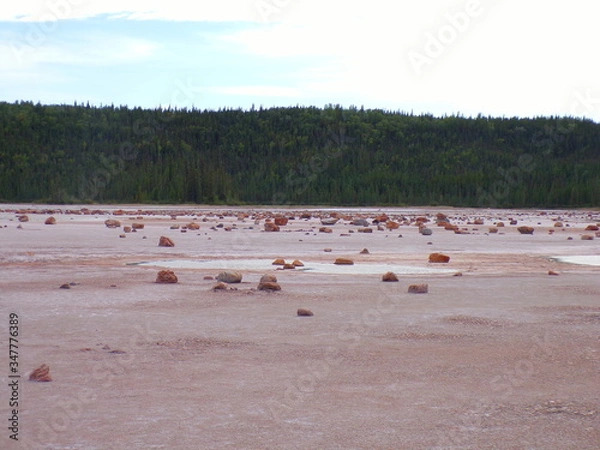 Obraz KODAK Digital Still Camera