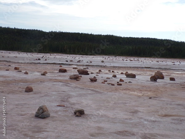 Obraz KODAK Digital Still Camera