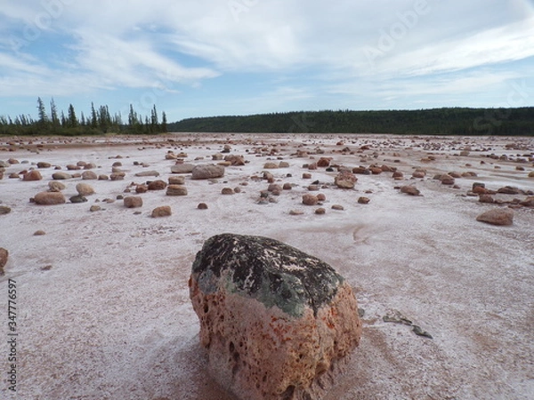 Obraz KODAK Digital Still Camera