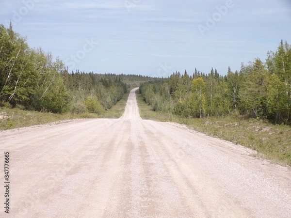 Obraz KODAK Digital Still Camera