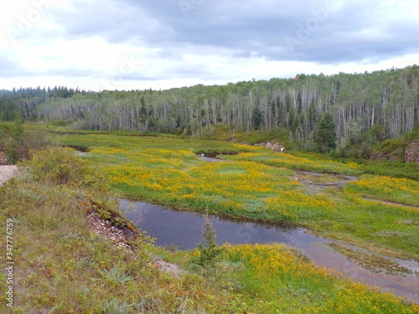 Obraz KODAK Digital Still Camera