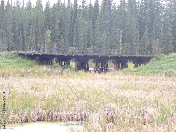 Obraz KODAK Digital Still Camera