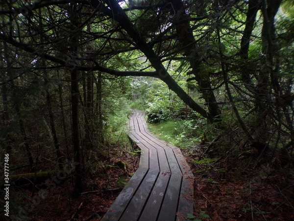 Obraz KODAK Digital Still Camera