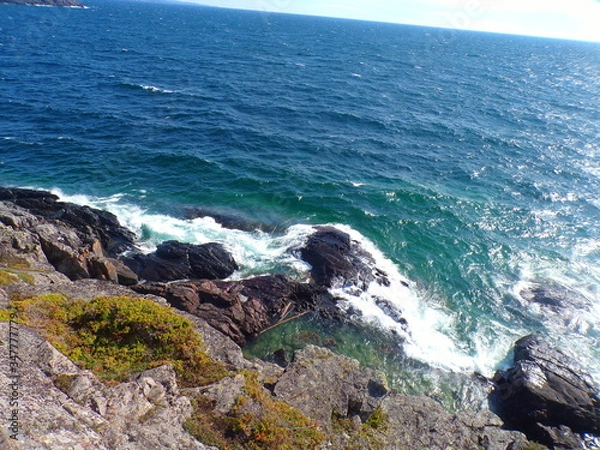 Obraz KODAK Digital Still Camera