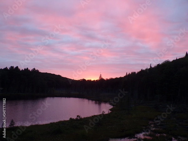 Obraz KODAK Digital Still Camera