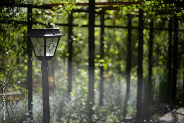 Fototapeta ガーデンランプ