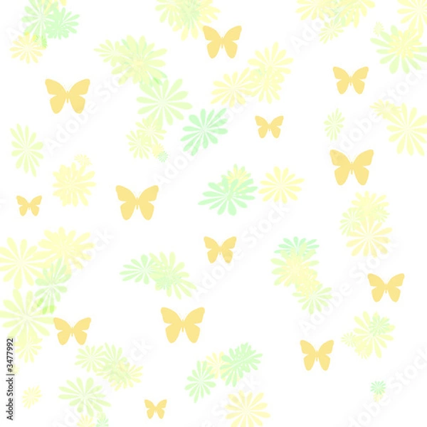 Fototapeta butterfly wrap