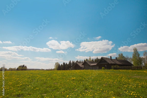 Fototapeta Pleasant sunny summer landscape: old blue sky and clouds, green grass, yellow dandelion flowers on a meadow and old historical country building . A happy idyllic scenery view background. Warm weather