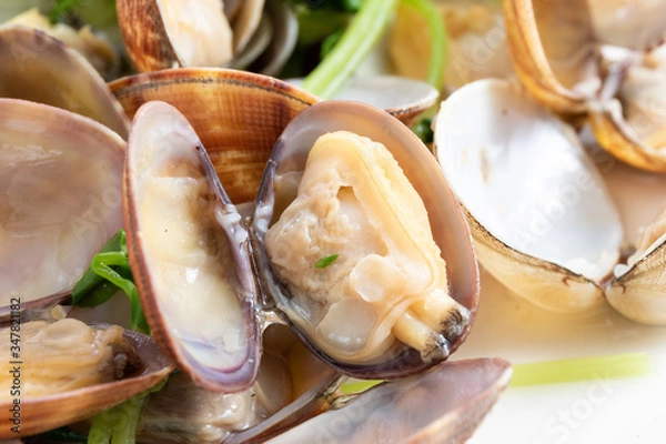 Obraz アサリの酒蒸