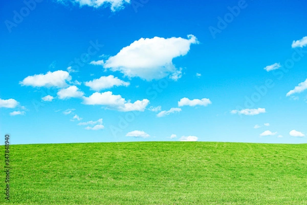Fototapeta 草原と青空