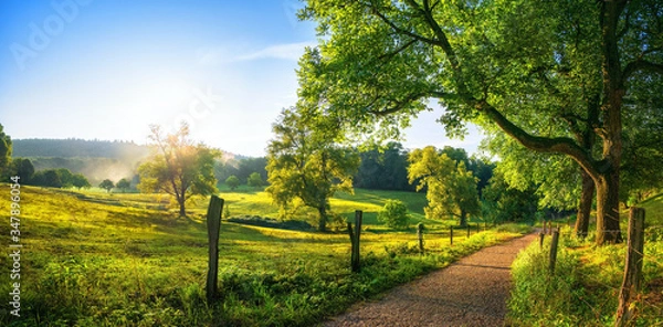 Fototapeta Rural landscape with a path, trees and meadows on hills, blue sky and pleasant warm sunshine from the low sun