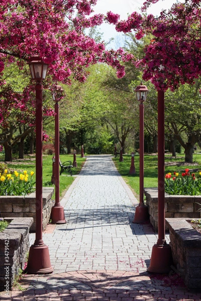 Obraz pathway at a public arboretum in orange county NY during spring of 2020