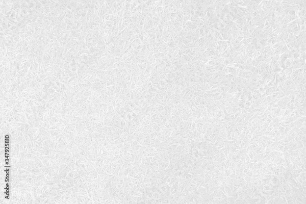 Obraz White dyed grass pattern and texture for background.