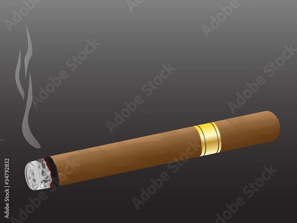 Obraz Cigar. Vector.