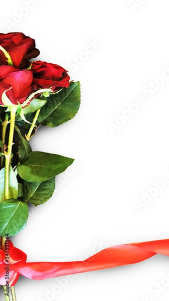 Fototapeta Huge bouquet of beautiful red roses on white background with red ribbon for mockups, templates, flyers, posters, stories