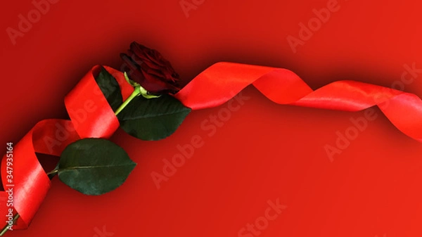 Fototapeta beautiful red rose on red background with red ribbon for mockups, templates, flyers, posters, stories. Horizontal align