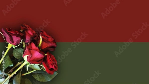 Fototapeta Huge bouquet of beautiful red roses on red olive background for mockups, templates, flyers, posters, stories. Horizontal align