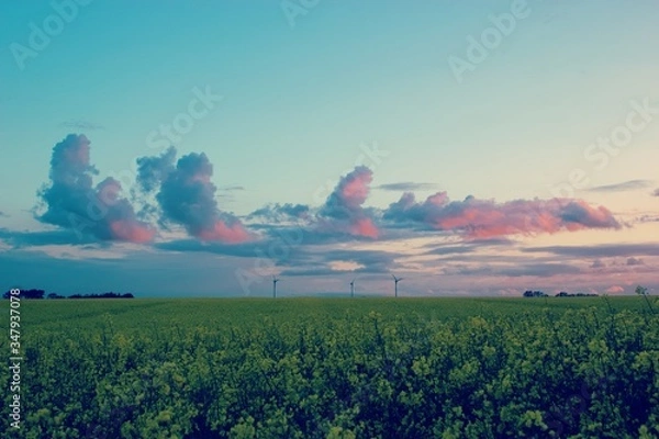 Fototapeta Stralsund