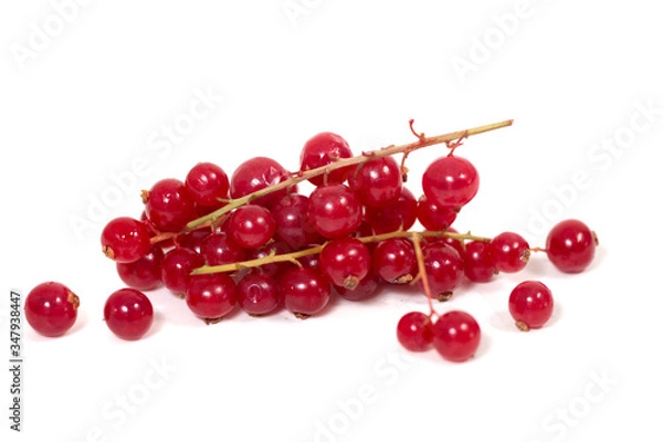 Fototapeta red currant berries white background